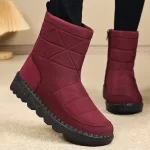 Women Boots 2025 Winter Shoes Woman Waterproof Snow Boots Winter Warm Fur Botas Mujer Korea Style Black Ankle Boots For Women